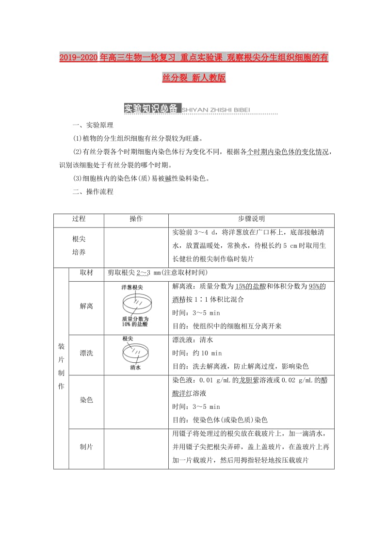 2019-2020年高三生物一轮复习 重点实验课 观察根尖分生组织细胞的有丝分裂 新人教版.doc_第1页