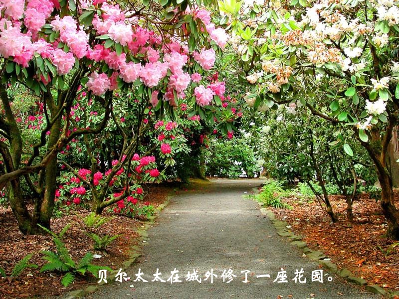 三年级语文下册 第1单元 5《荒芜的花园》课件1 沪教版.ppt_第1页