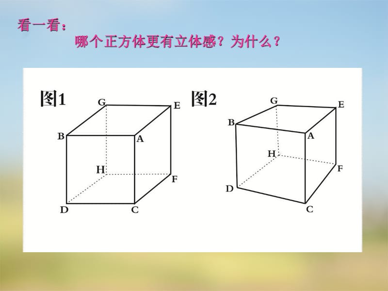 五年级美术下册 第7课《画出立体感、空间感》课件2 岭南版.ppt_第2页