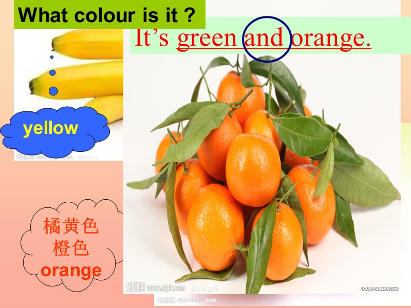 三年级英语上册 Unit 6 Lesson 2 It’s Red and Yellow课件1 鲁科版.ppt_第3页