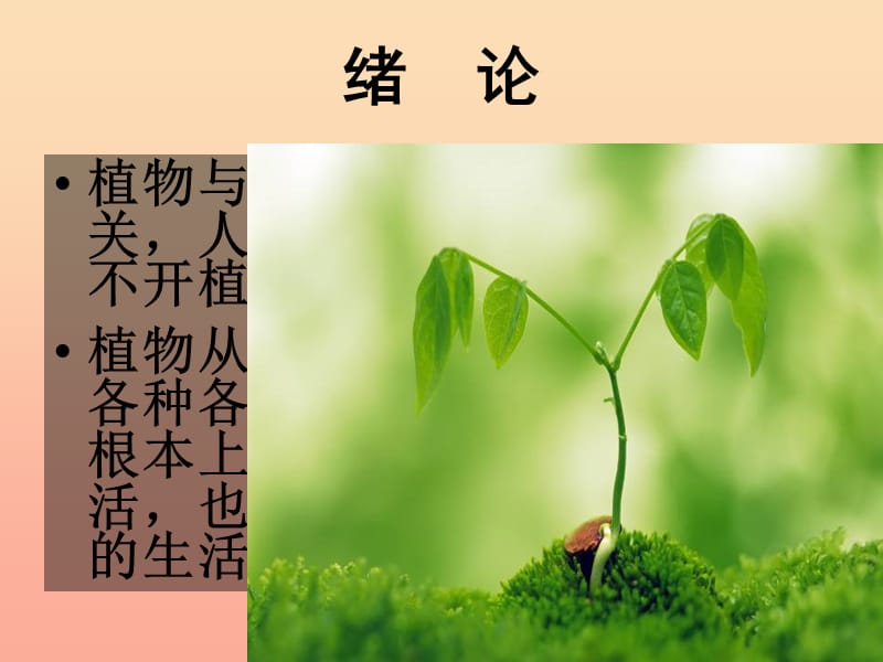 三年级科学下册四植物和我们1植物和我们的生活课件1新人教版.ppt_第3页