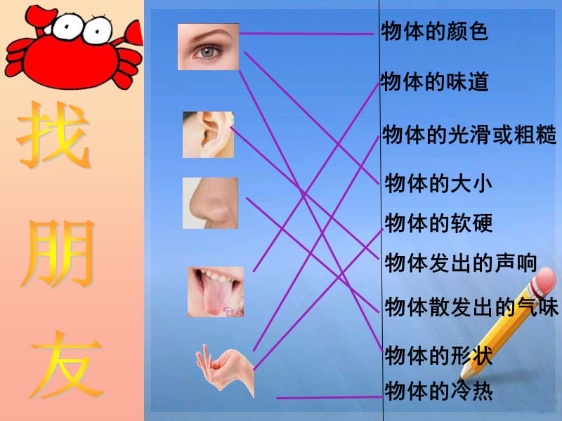 2019秋三年级科学上册 2.1《五官兄弟游乐场》课件2 大象版.ppt_第3页