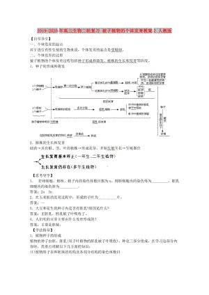 2019-2020年高三生物二輪復(fù)習(xí) 被子植物的個體發(fā)育教案2 人教版.doc