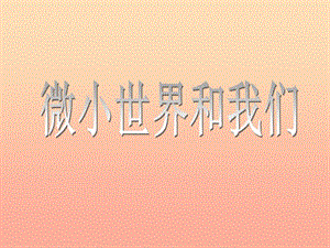 六年級科學下冊 第一單元 微小世界 8 微小世界和我們課件3 教科版.ppt