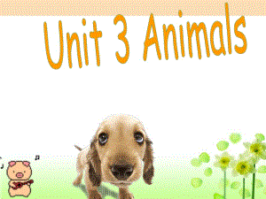 2019秋三年級英語上冊 Unit 3 Animals課件3 廣東版開心.ppt