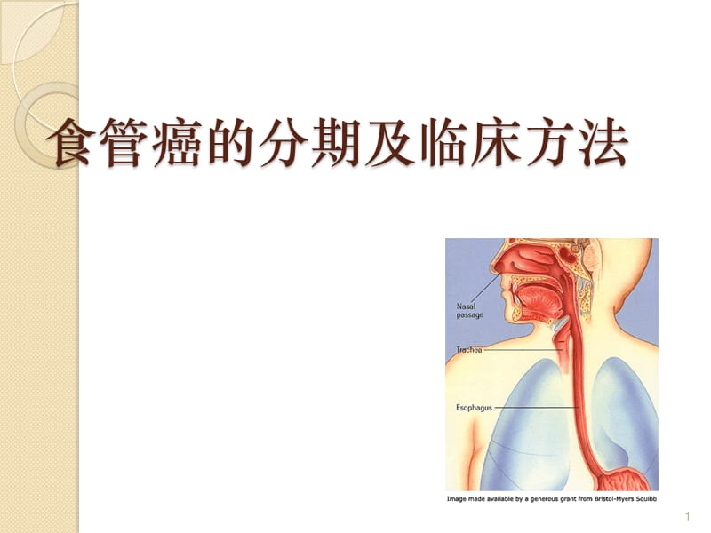 食管癌的分期及临床方法ppt课件_第1页