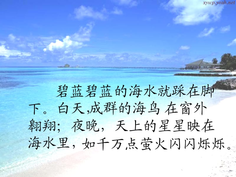 六年级语文上册爷爷的芦笛课件3鄂教版.ppt_第3页