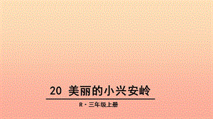 三年級(jí)語文上冊(cè) 第六單元 20 美麗的小興安嶺課件1 新人教版.ppt