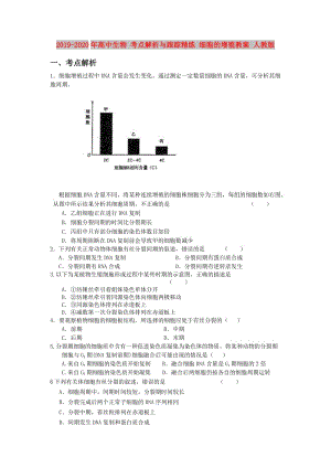 2019-2020年高中生物 考點(diǎn)解析與跟蹤精練 細(xì)胞的增殖教案 人教版.doc