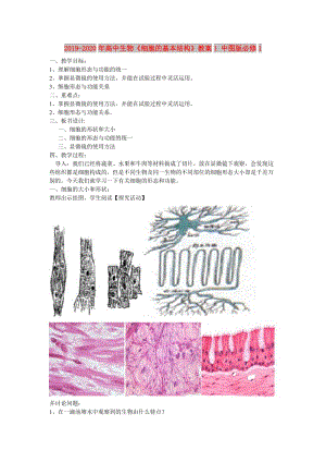 2019-2020年高中生物《細胞的基本結構》教案1 中圖版必修1.doc