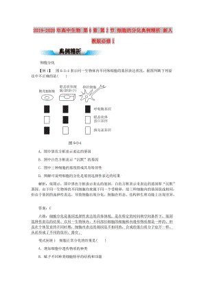 2019-2020年高中生物 第6章 第2節(jié) 細胞的分化典例精析 新人教版必修1.doc