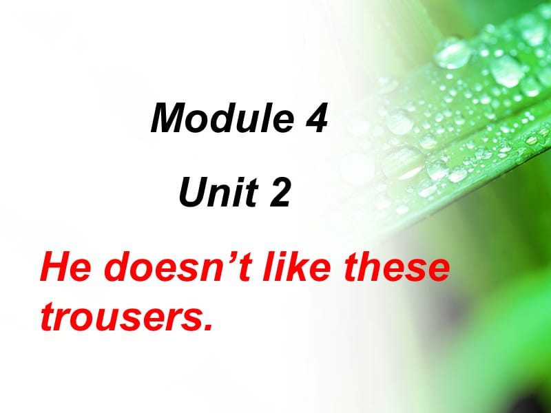 二年级英语上册Module4Unit2Hedoesn’tlikethesetrousers课件1外研版一起.ppt_第1页