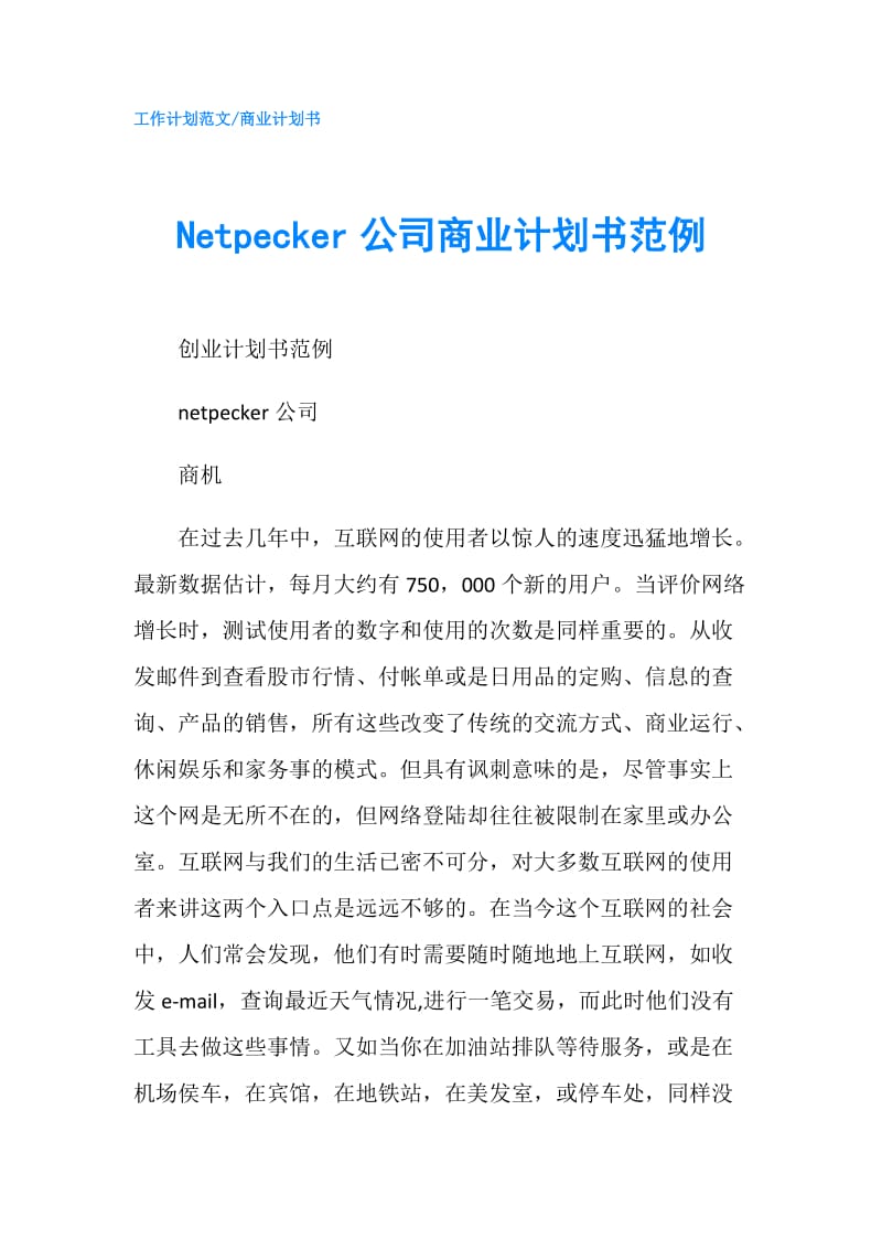 Netpecker公司商业计划书范例.doc_第1页