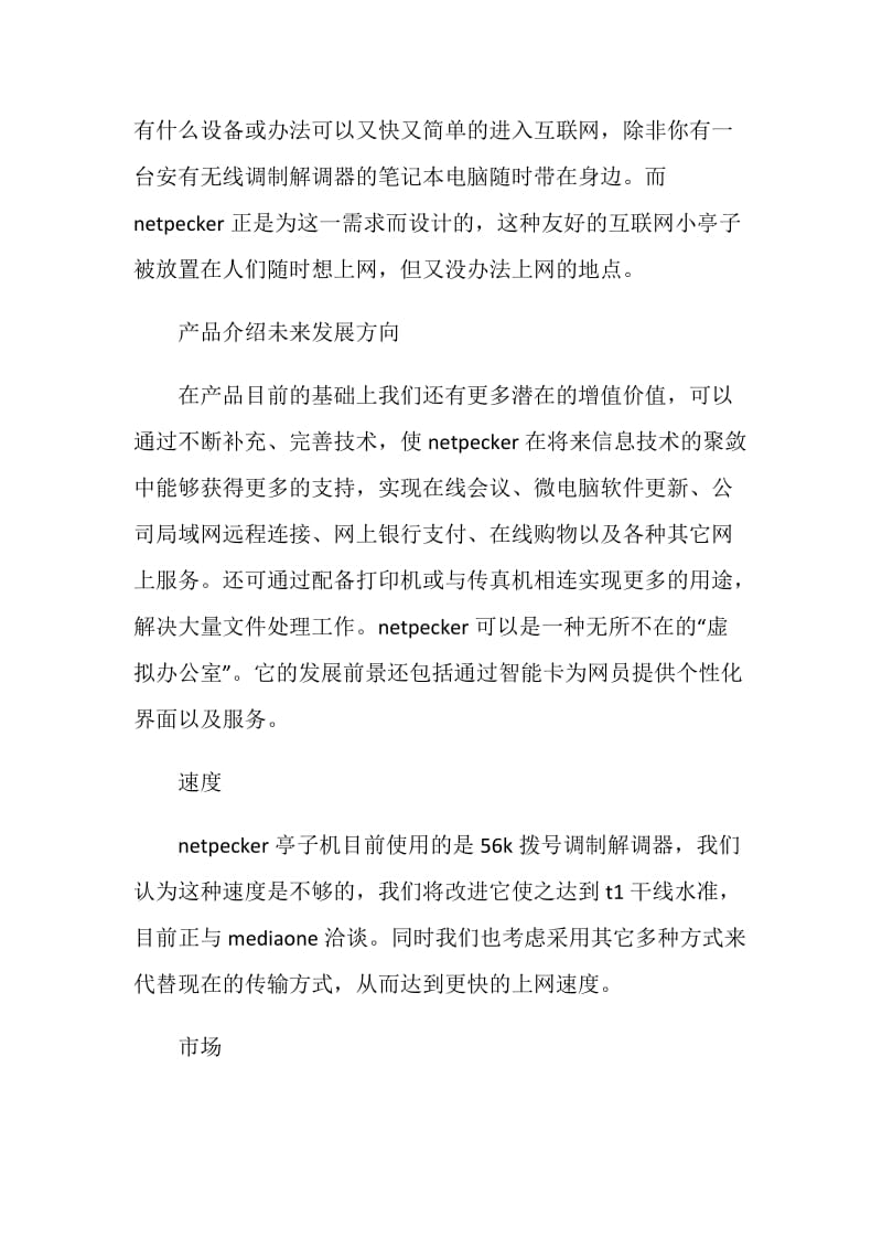 Netpecker公司商业计划书范例.doc_第2页