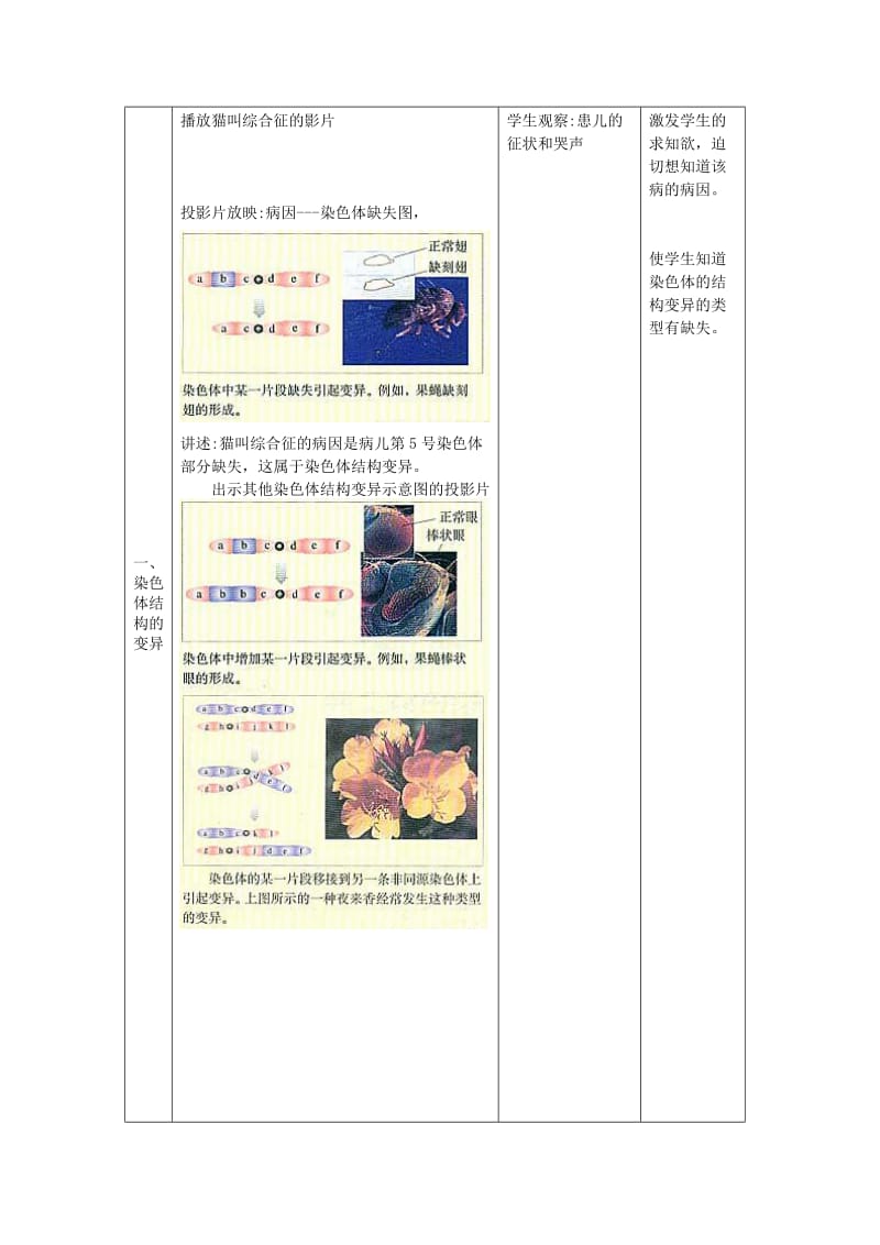 2019-2020年高一生物染色体变异教学设计 新课标 人教版.doc_第2页