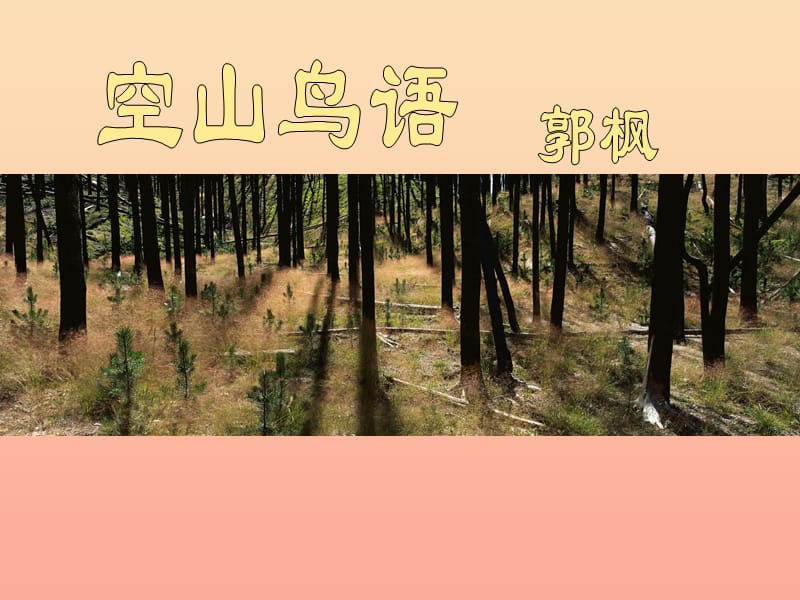 六年级语文上册 第八单元 空山鸟语课件1 湘教版.ppt_第2页