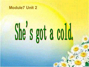 三年級英語上冊 Unit 2 She’s got a cold課件 外研版.ppt