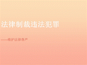 六年級道德與法治下冊 第六單元 走近法律 與法同行 第12課 維護(hù)法律尊嚴(yán) 第1框《法律制裁違法犯罪》課件2 魯人版五四制.ppt