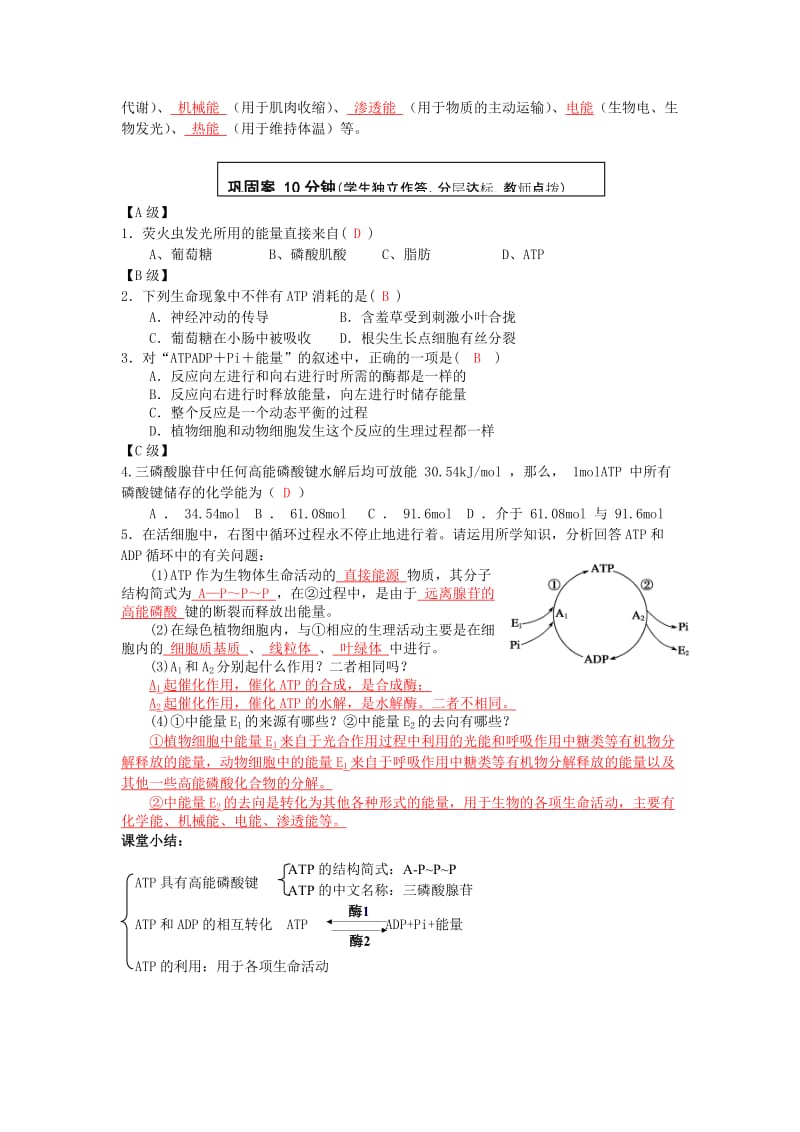 2019-2020年高中生物 第五章第二节 细胞内的能量“通货”—ATP教学案 新人教版必修1.doc_第3页