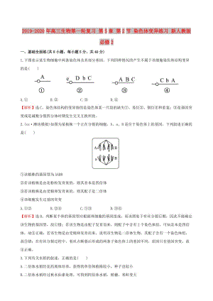 2019-2020年高三生物第一輪復(fù)習(xí) 第5章 第2節(jié) 染色體變異練習(xí) 新人教版必修2.doc