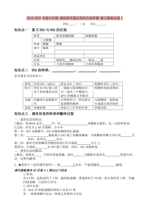 2019-2020年高中生物 基因指導(dǎo)蛋白質(zhì)的合成學(xué)案 新人教版必修2.doc