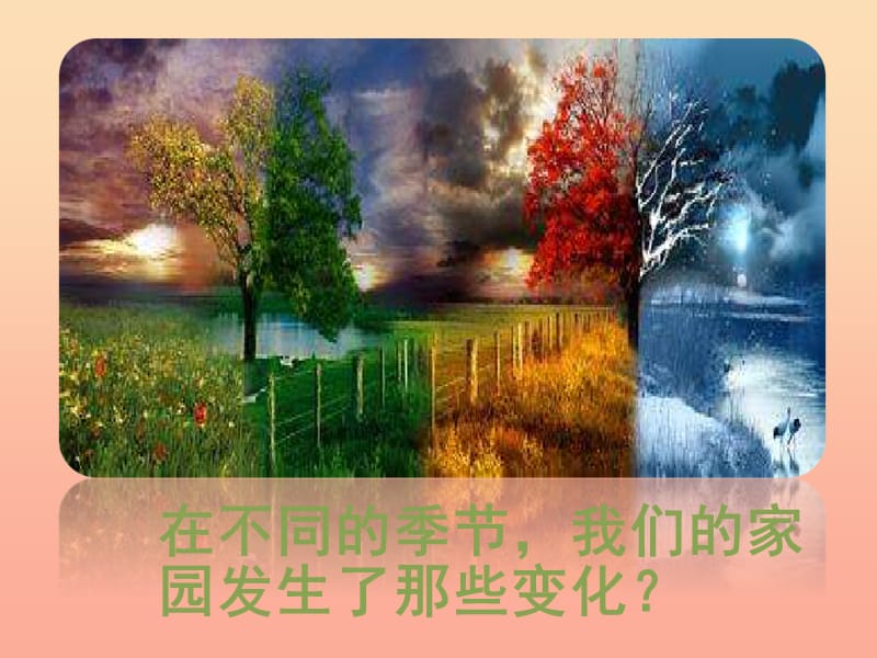 二年级科学上册1.6不同的季节课件2教科版.ppt_第3页