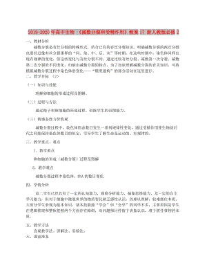 2019-2020年高中生物 《減數(shù)分裂和受精作用》教案17 新人教版必修2.doc