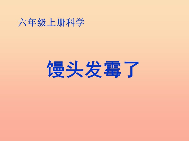 六年级科学上册 馒头发霉了课件6 苏教版.ppt_第1页