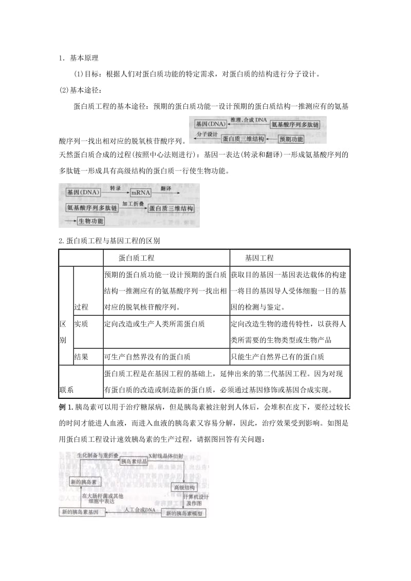 2019-2020年高三生物总复习 第47讲 蛋白质工程.doc_第2页