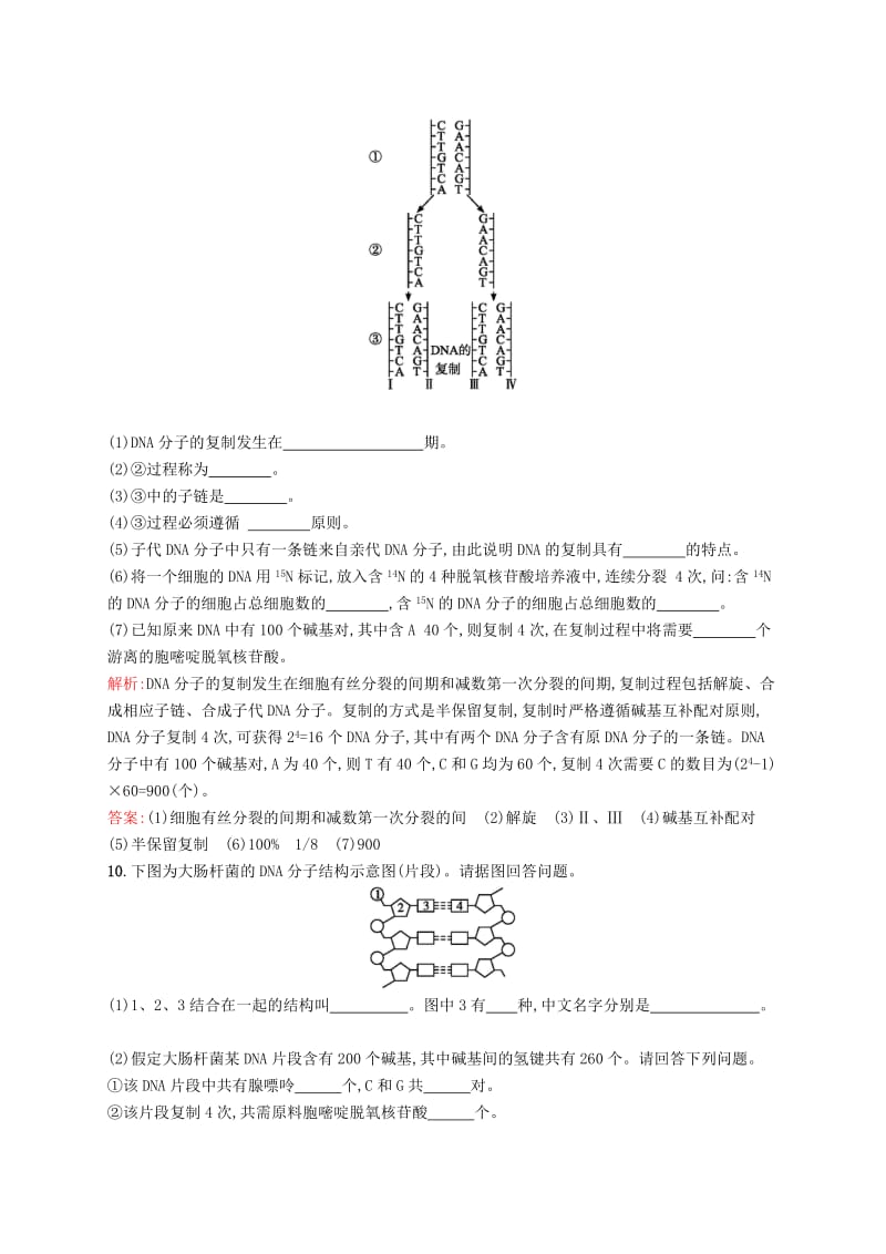 2019-2020年高中生物 课时训练 12 DNA分子的复制 苏教版必修2.doc_第3页