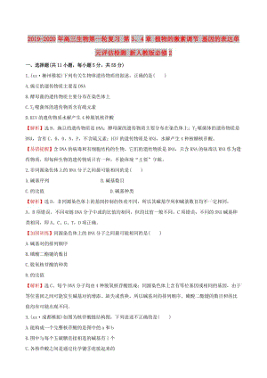 2019-2020年高三生物第一輪復習 第3、4章 植物的激素調(diào)節(jié) 基因的表達單元評估檢測 新人教版必修2.doc