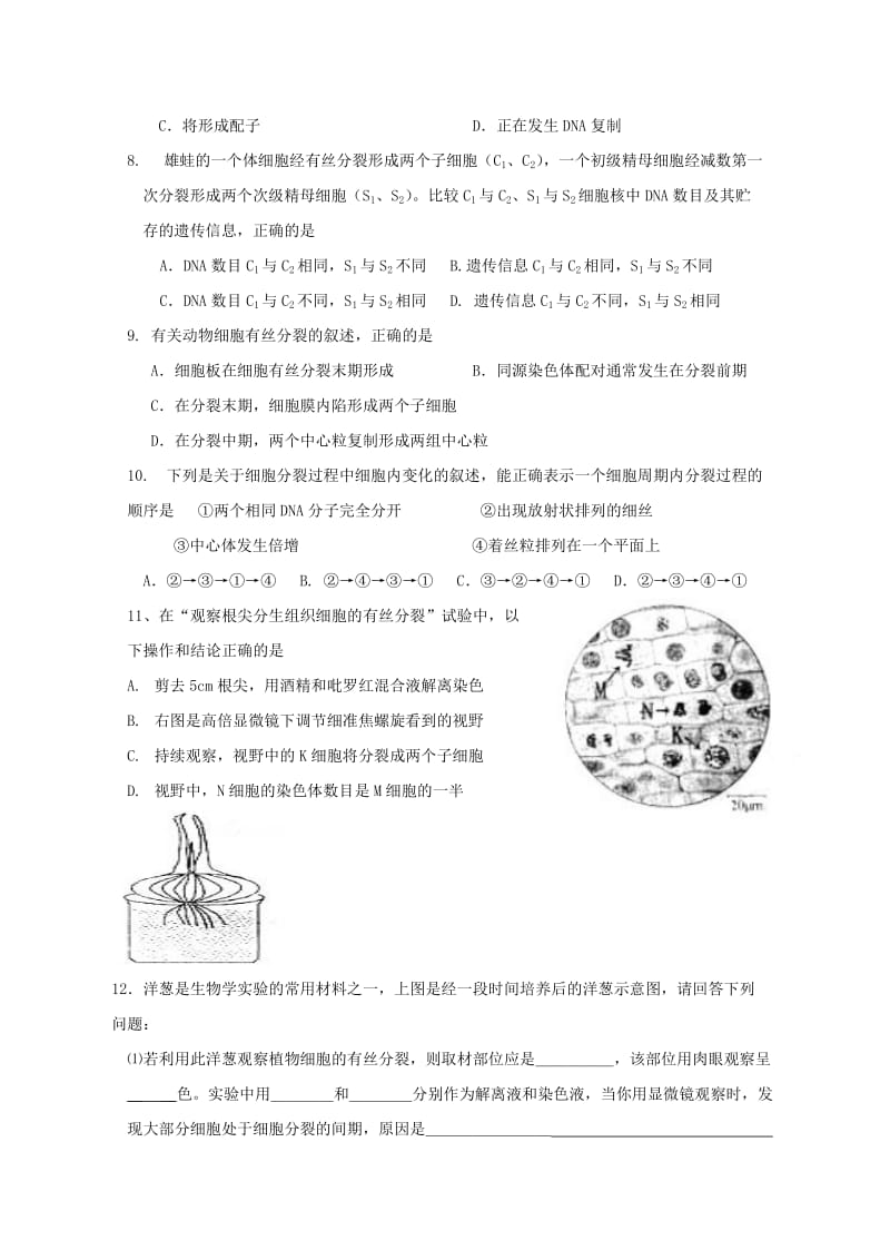 2019-2020年高中生物 细胞增殖精华学案 新人教版必修1.doc_第3页