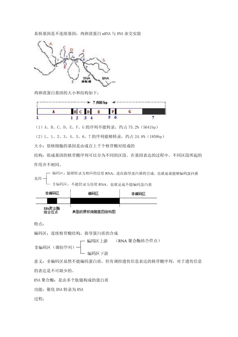 2019-2020年高三生物总复习 第22讲 认识基因教案.doc_第2页