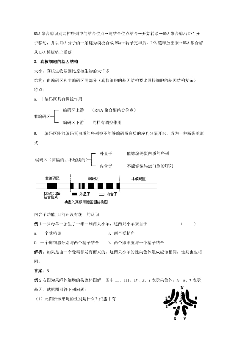 2019-2020年高三生物总复习 第22讲 认识基因教案.doc_第3页