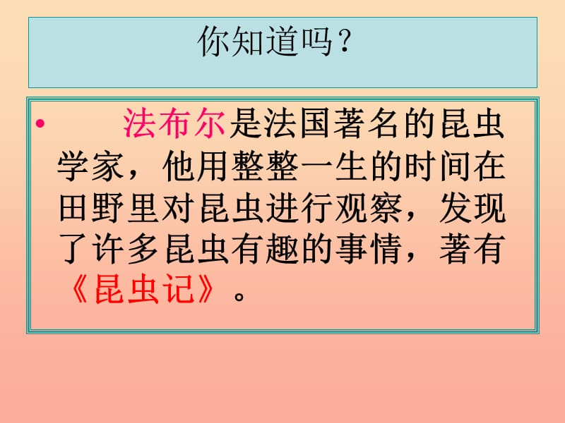 六年级科学下册 第一单元 微小世界 2《放大镜下的昆虫世界》课件1 教科版.ppt_第2页