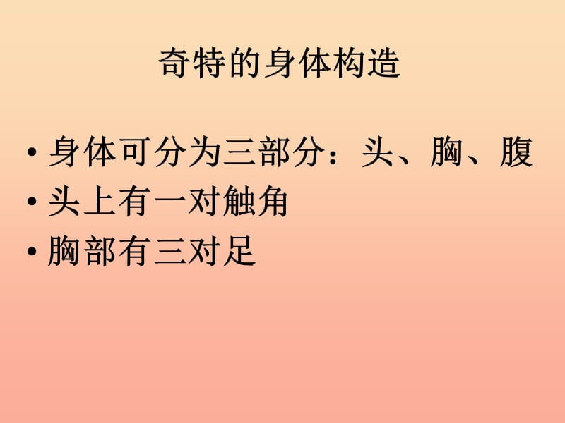 六年级科学下册 第一单元 微小世界 2《放大镜下的昆虫世界》课件1 教科版.ppt_第3页