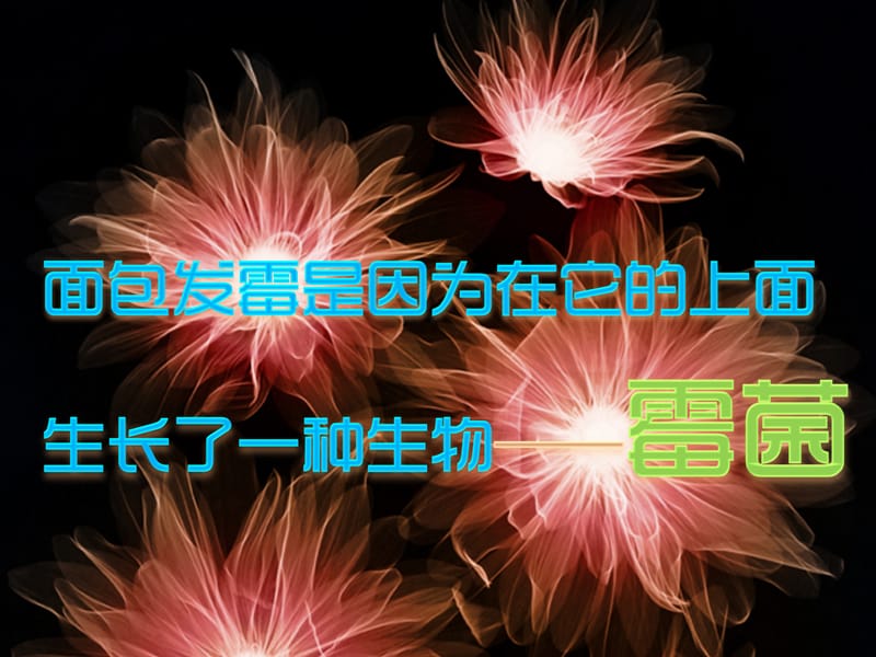 四年级科学下册 3 食物 5 面包发霉了课件6 教科版.ppt_第3页