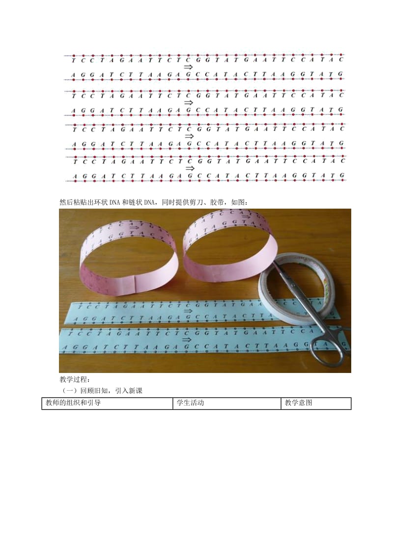 2019-2020年高中生物 1.1《DNA重组技术基本工具》教学设计 新人教版选修3.doc_第2页