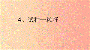 二年級道德與法治下冊 第一單元 讓我試試看 第4課《試種一粒籽》課件2 新人教版.ppt