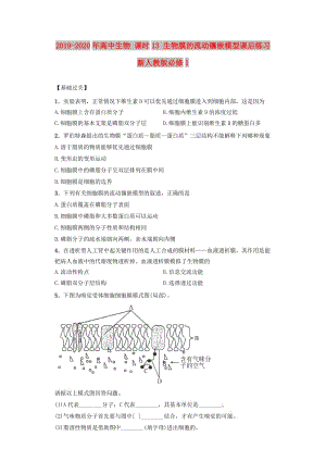 2019-2020年高中生物 課時(shí)13 生物膜的流動(dòng)鑲嵌模型課后練習(xí) 新人教版必修1.doc