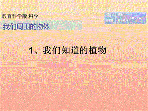 一年级科学下册 我们周围的物体 1.1《发现物体的特征》课件 教科版.ppt