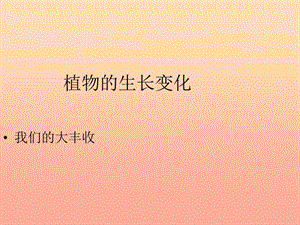 三年級科學(xué)下冊 植物的生長變化 7 我們的大豐收課件2 教科版.ppt