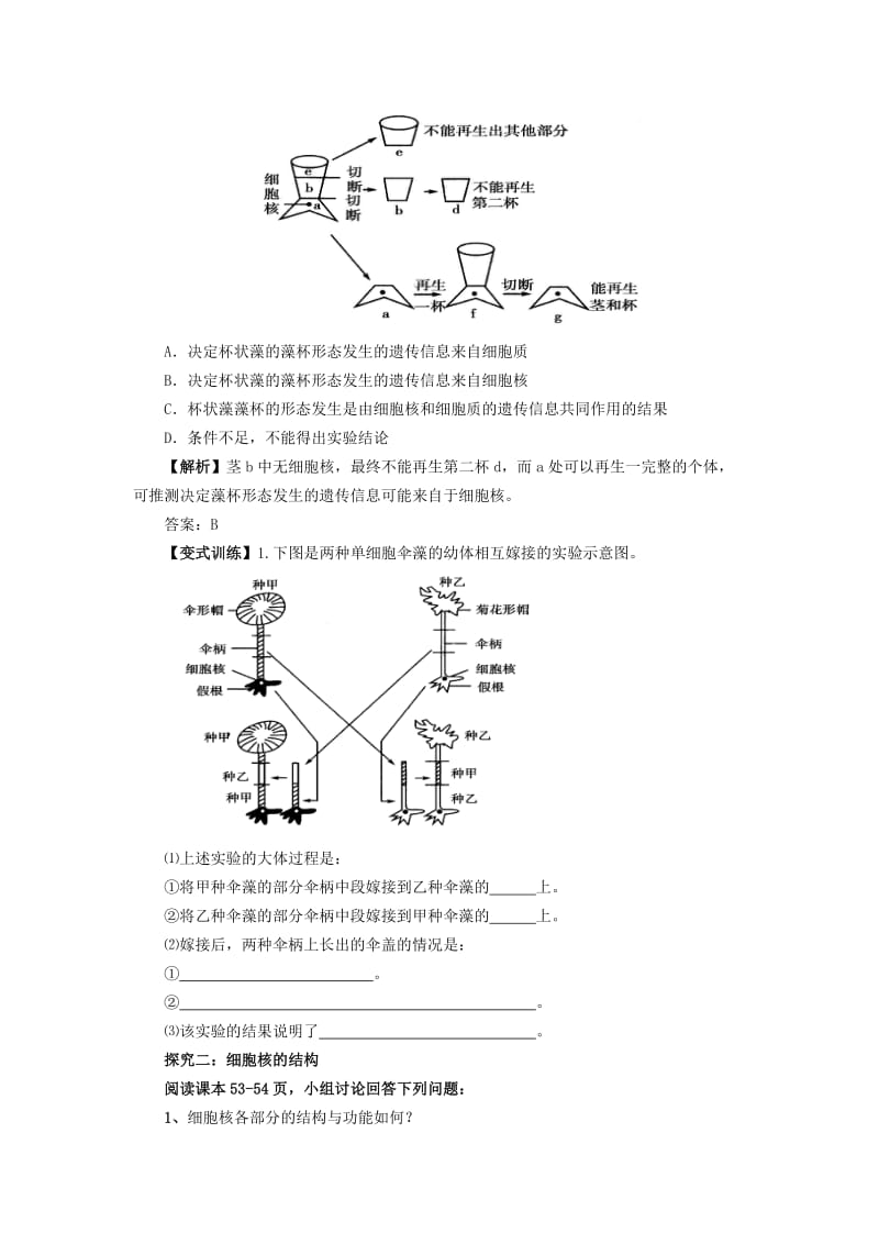 2019-2020年高中生物《 3.3 细胞核 系统的控制中心》学案 新人教版必修1.doc_第3页