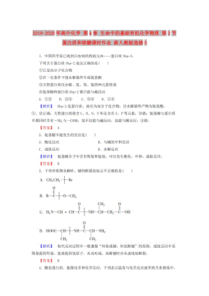 2019-2020年高中化學(xué) 第4章 生命中的基礎(chǔ)有機(jī)化學(xué)物質(zhì) 第3節(jié) 蛋白質(zhì)和核酸課時作業(yè) 新人教版選修5.doc