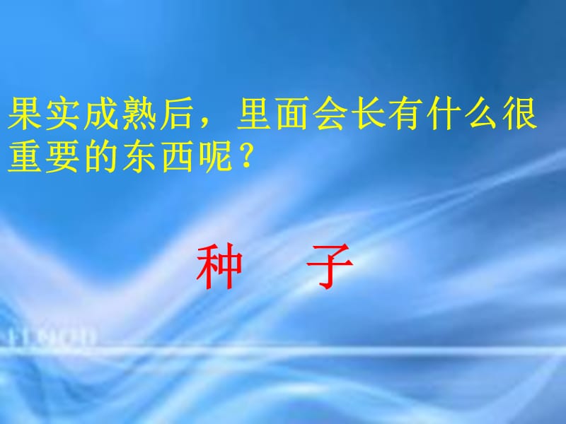 四年级科学下册 2 新的生命 4《把种子散播到远处》课件2 教科版.ppt_第3页