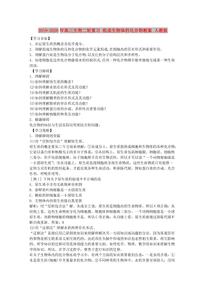 2019-2020年高三生物二輪復(fù)習(xí) 組成生物體的化合物教案 人教版.doc