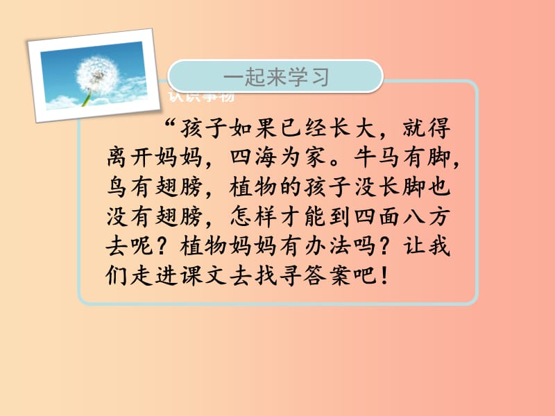 2020版二年级语文上册 课文1 3 植物妈妈有办法课件 新人教版.ppt_第2页