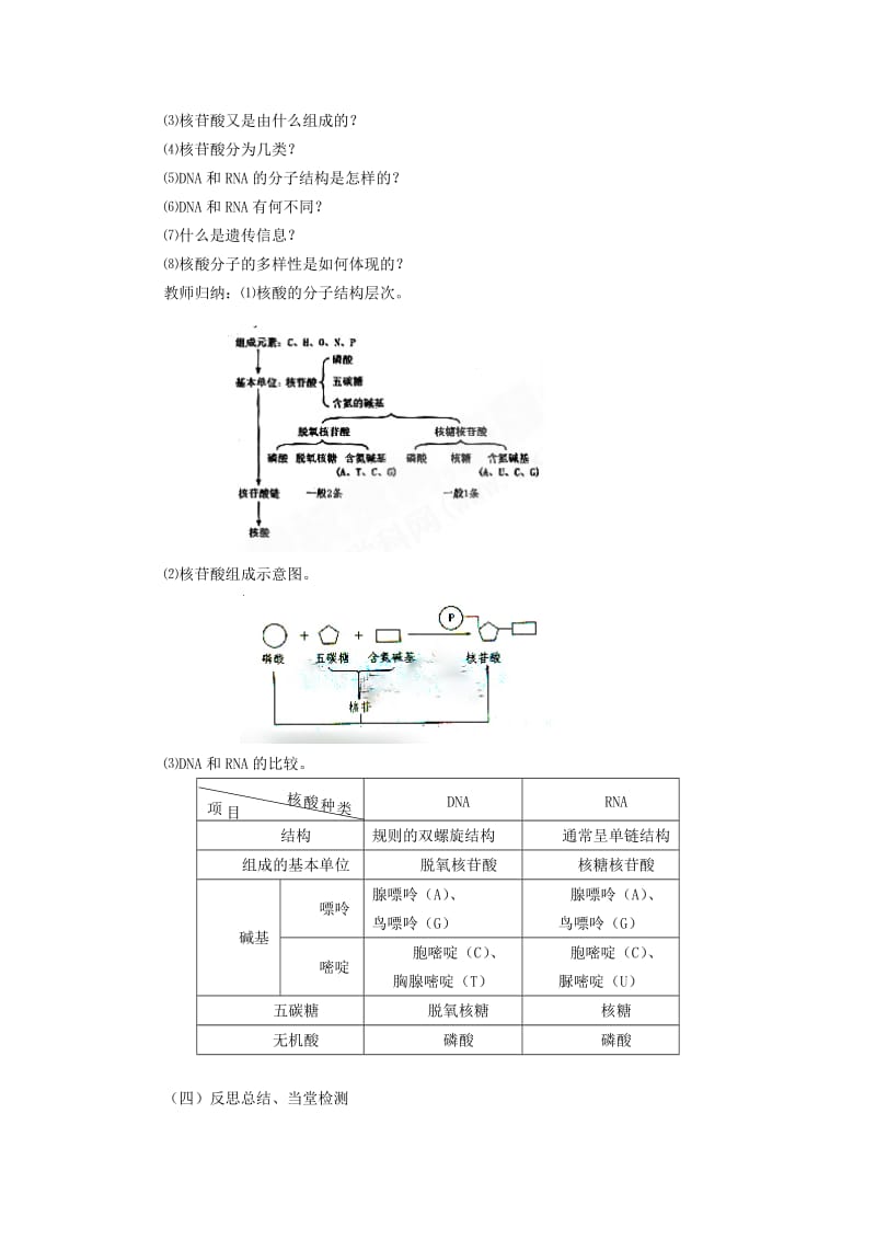 2019-2020年高中生物《2.3 遗传信息的携带者 核酸》教学设计 新人教版必修1.doc_第3页