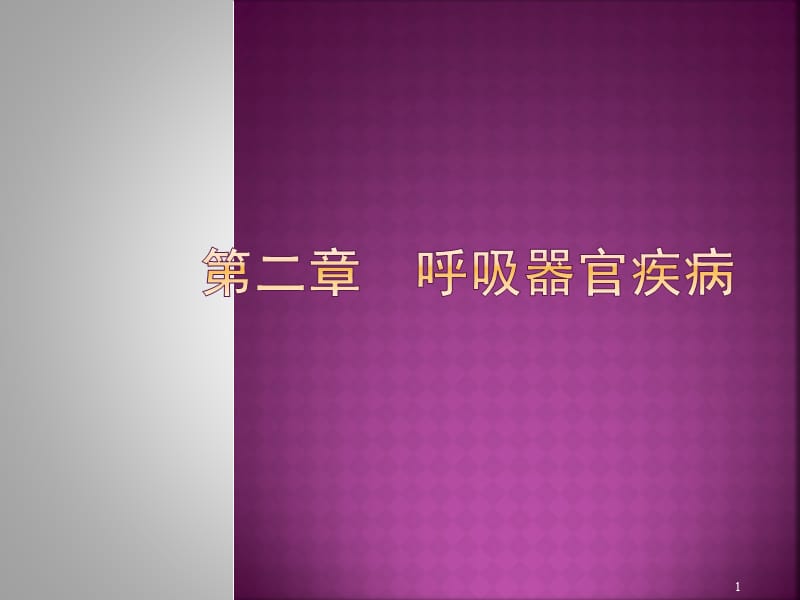 兽医内科学第二章呼吸器官疾病ppt课件_第1页