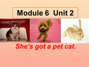 三年級英語上冊 Unit 2 She’s got a pet cat課件 外研版.ppt